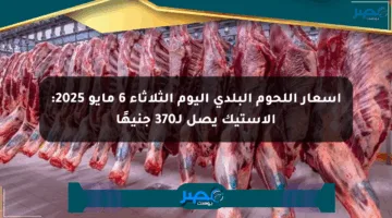 أسعار اللحوم البلدي اليوم الثلاثاء 6 مايو 2025: الاستيك يصل لـ370 جنيهًا